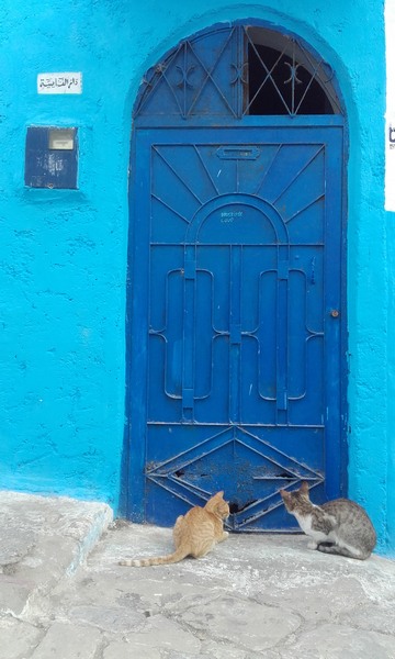 Marocco03